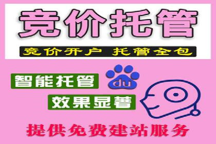 竞价托管服务中的数据驱动决策